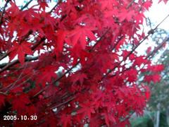 20051030-6.jpg